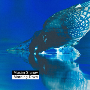 国产性爱在线视频
